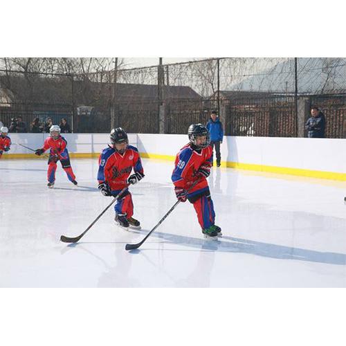 Ice Rink Mat