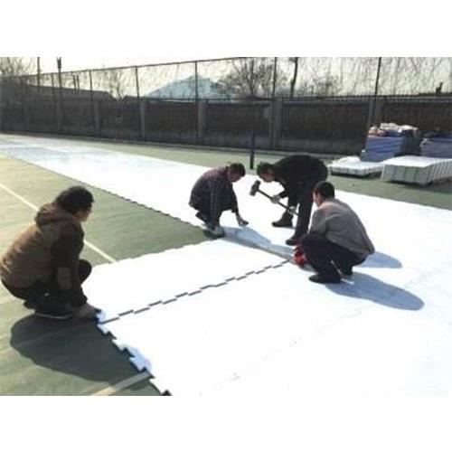 Synthetic Ice Rink
